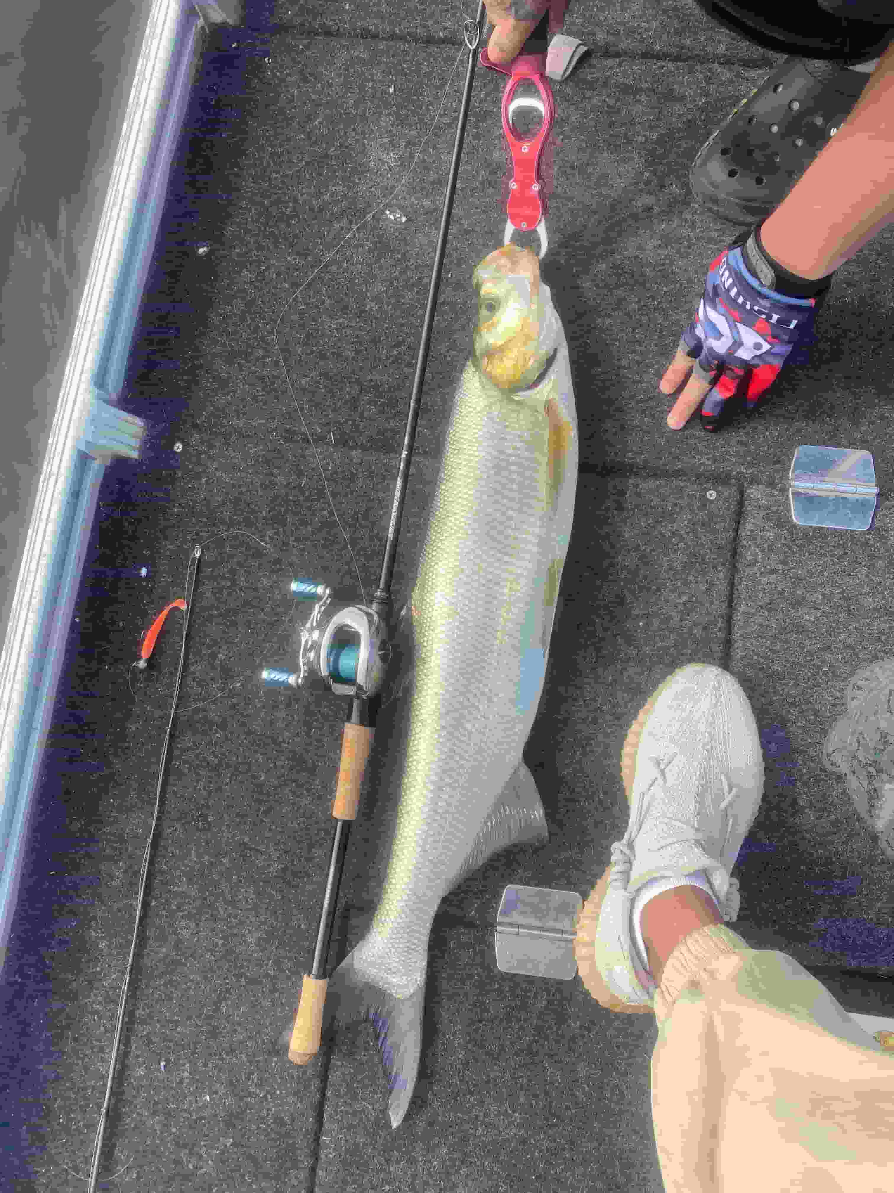 Fishing Lure Testing and R&D Center